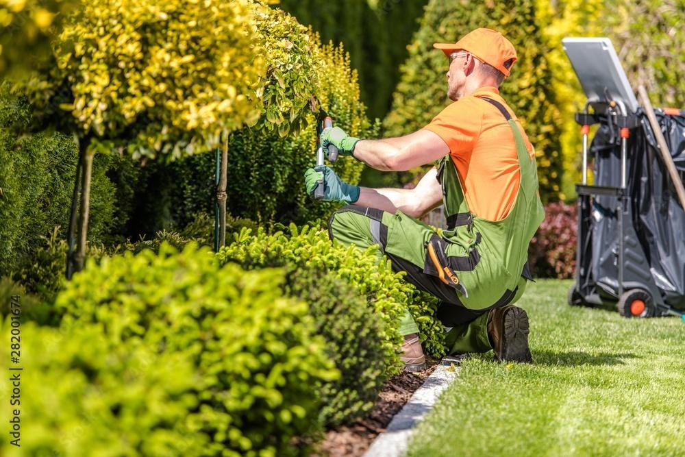 Grünanlagenpflege & Gartenarbeiten